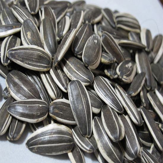 the effects and side effects of sunflower seeds